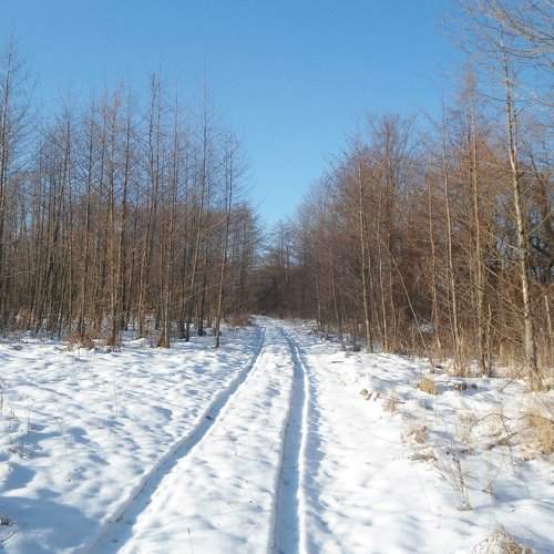 Село