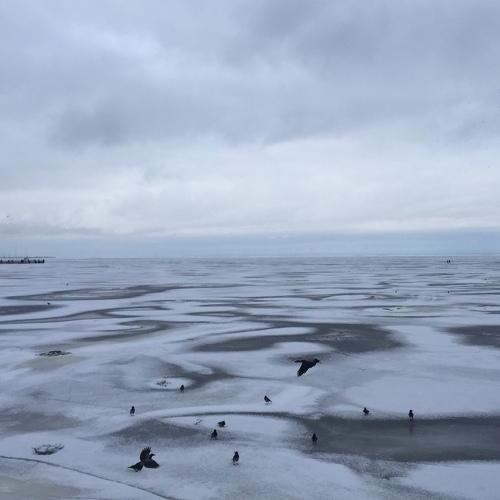 Photo #2910078