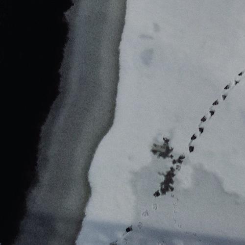 Photo #2910080
