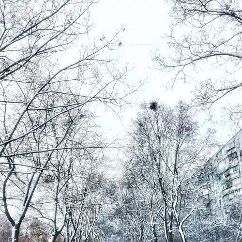 Photo #2910375