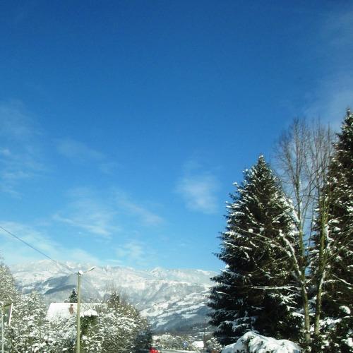 Tara Mountain, Serbia