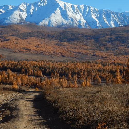 Photo #2910634