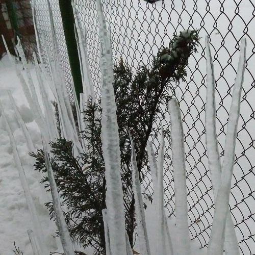 Ледяная сказка