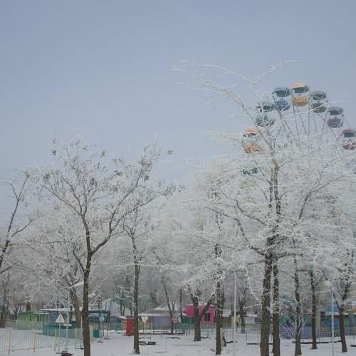 Photo #2911060