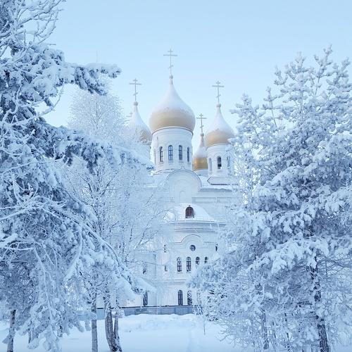 Photo #2911095