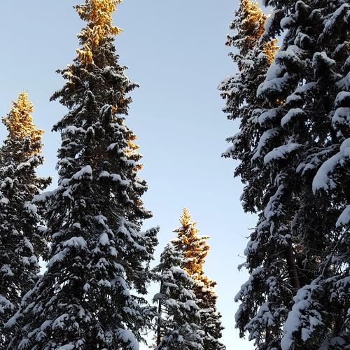 Photo #2911099
