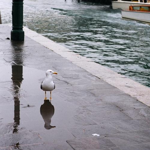 Venice