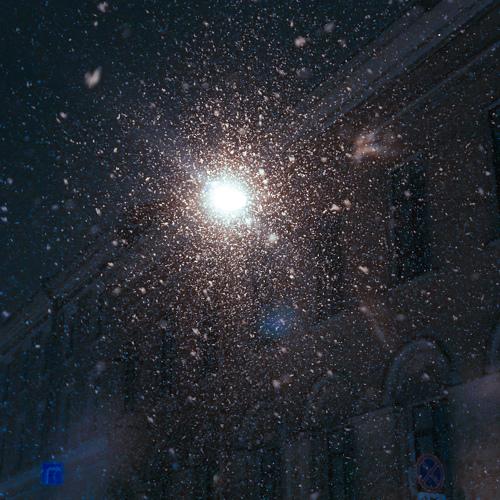 Photo #2912878
