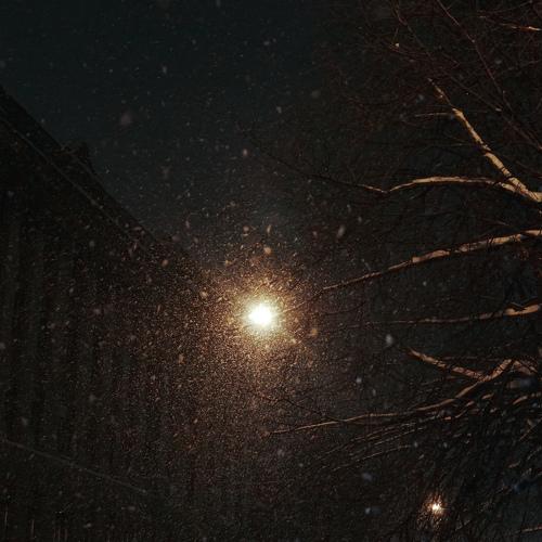 Photo #2912907