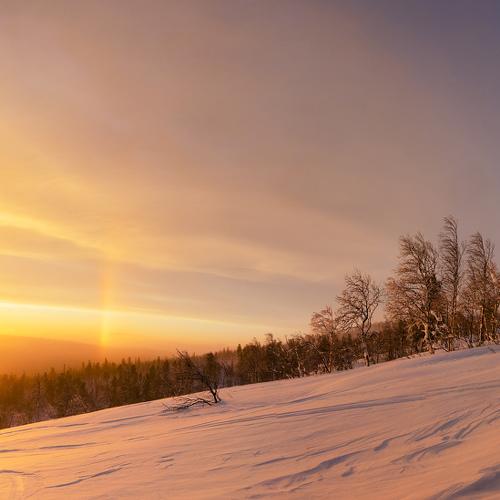 Photo #2913184