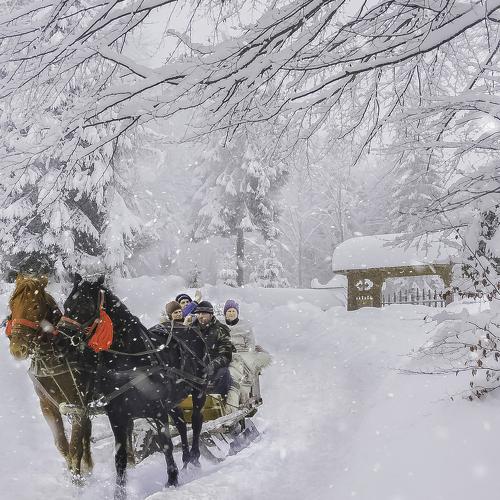 A sleigh ride