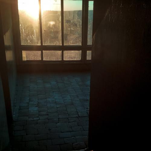 Photo #2914161