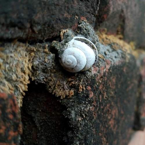 Random shell