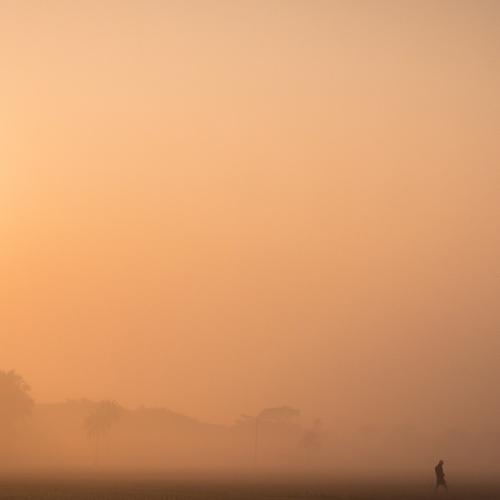 misty morning
