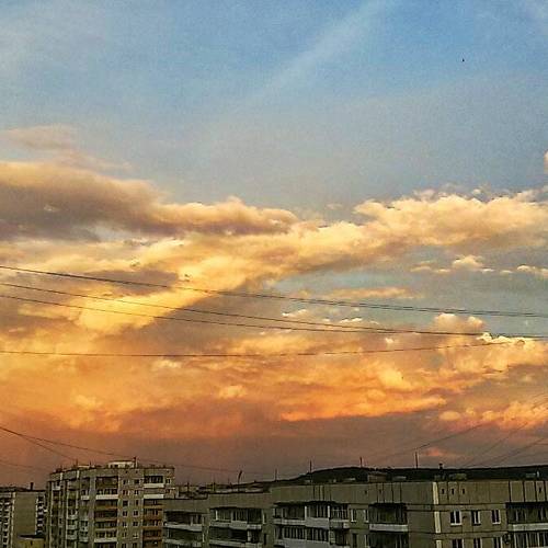 Photo #2915484