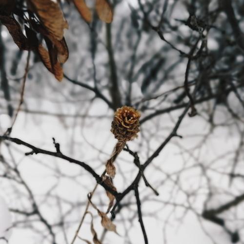 Photo #2915791