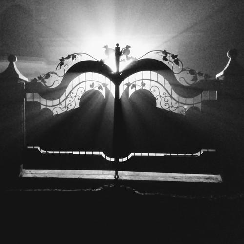Foggy Noire