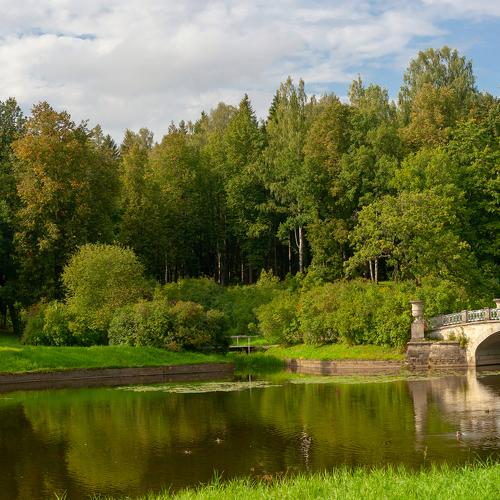 Павловск в летний день