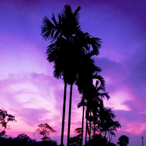 The sky~