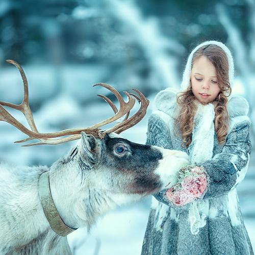 Photo #2917399