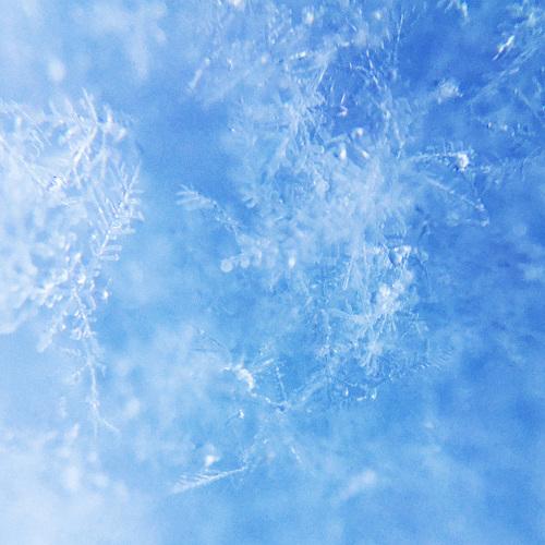 Snowflakes