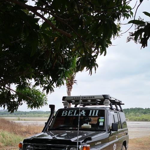 BELA III