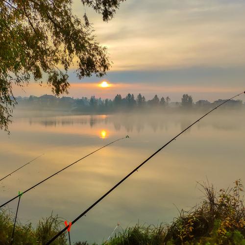 Fishing