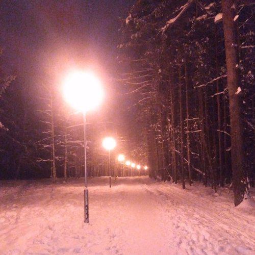 Зимнее лес