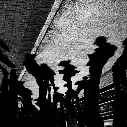 Discusión de sombras