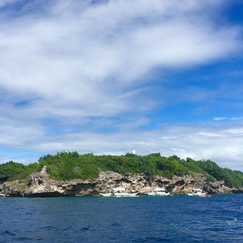 Photo #2917924