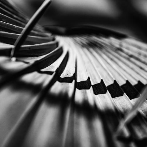 Equilibrio de sombras