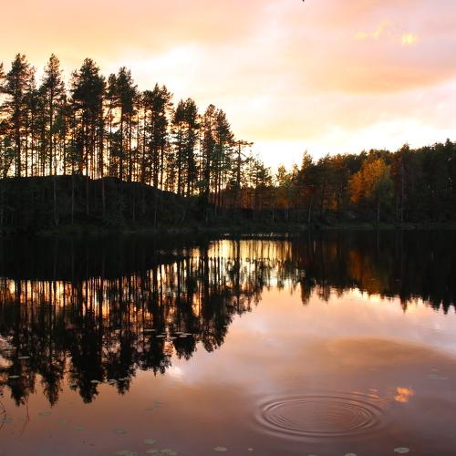 Закат в Карелии