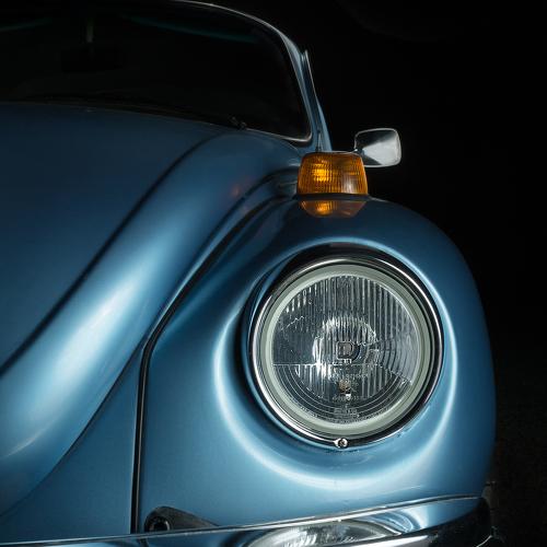 Beetle