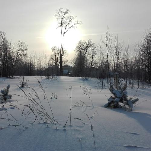 Star-sun