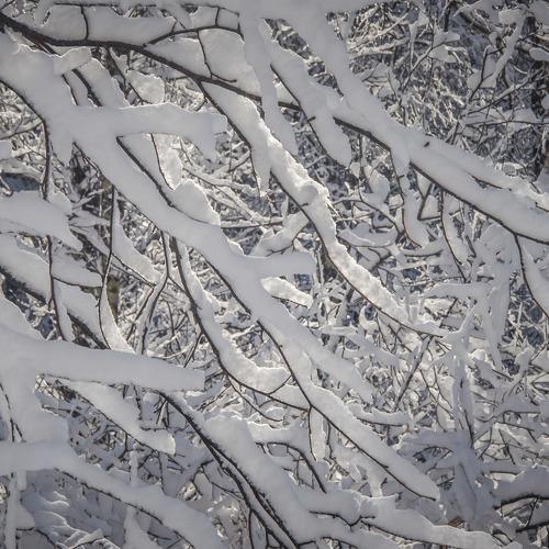 Снежная шапка