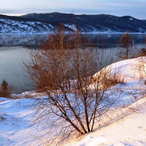Photo #2921091