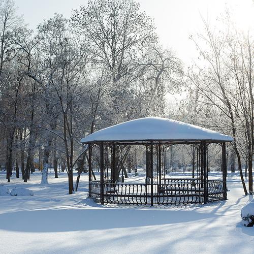 Парк, зимующий под снегом
