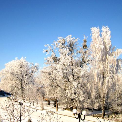 Photo #2921769