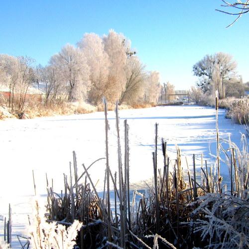 Photo #2921773