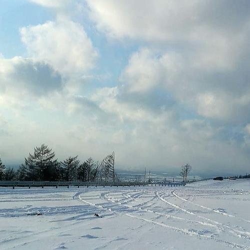 Photo #2921890
