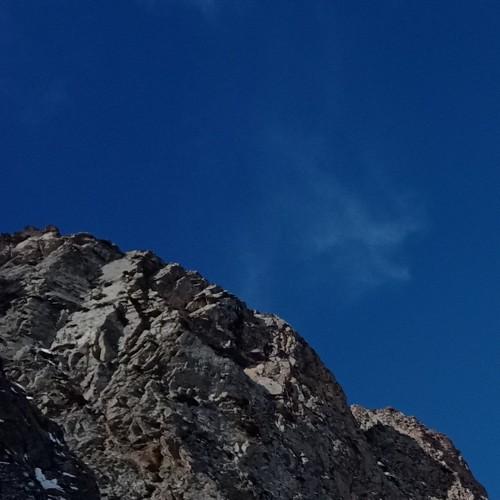 Photo #2922790