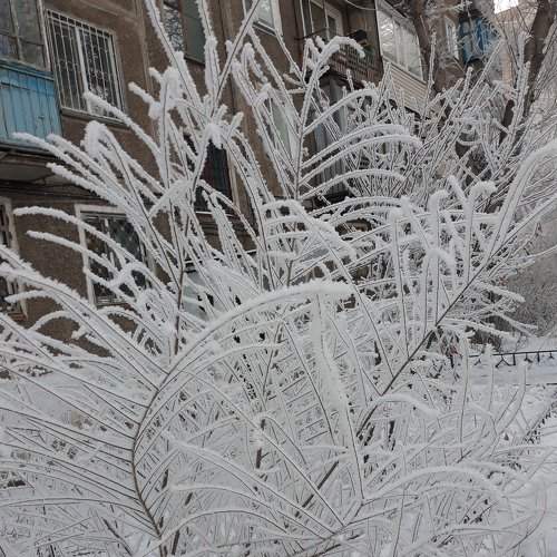 Инейное Чудо.