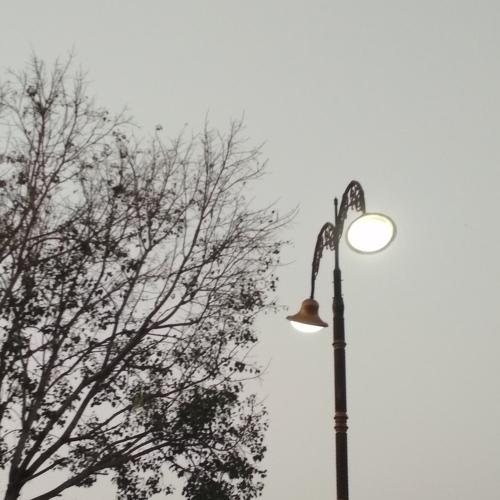 Tree lights