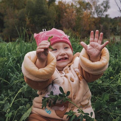 Photo #2925612