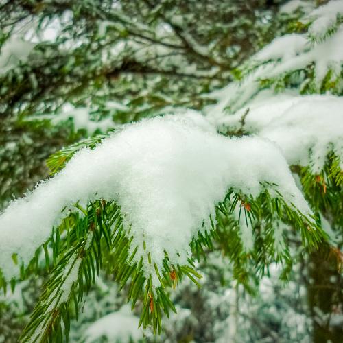 Photo #2925803