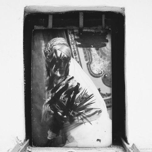 Photo #2925992