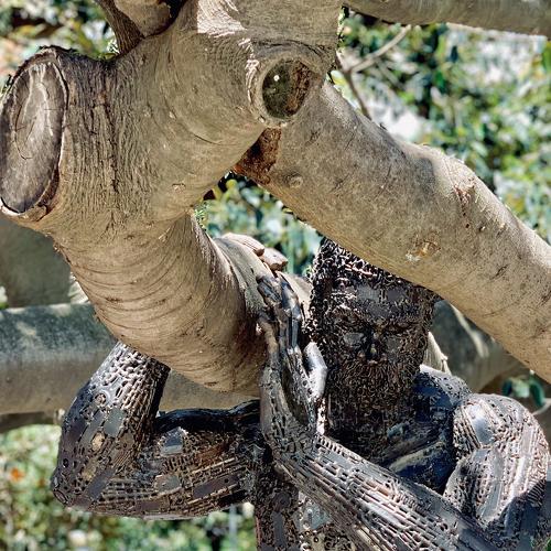 Photo #2926121