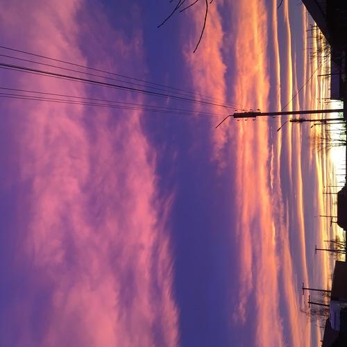 Photo #2926538