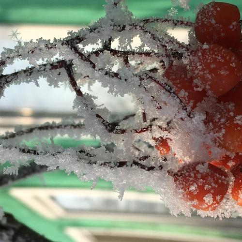 Photo #2926570