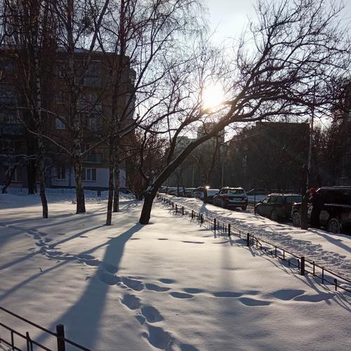 Зимнее солнце